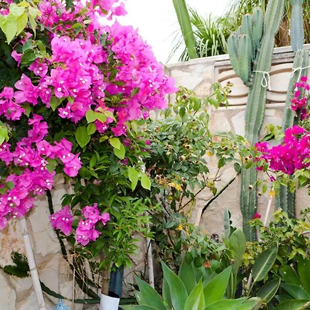 Stylish Family Villa, Near Beach,prive Parking,wifi Villa *